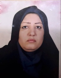 آقای مهدی خانی